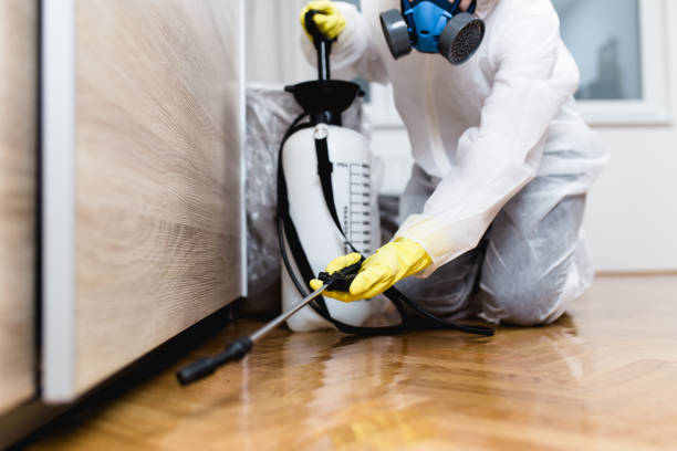 Wasp Removal Services in Cambridge City, IN