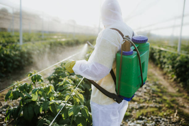 Best Best Pest Control Companies  in Cambridge City, IN